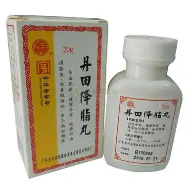 宏兴 丹田降脂丸  20g