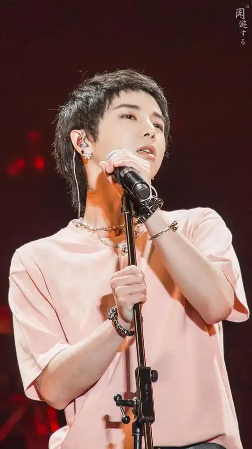 华晨宇 hcy 花花