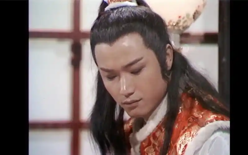 杨康完颜康苗侨伟版大金小王爷