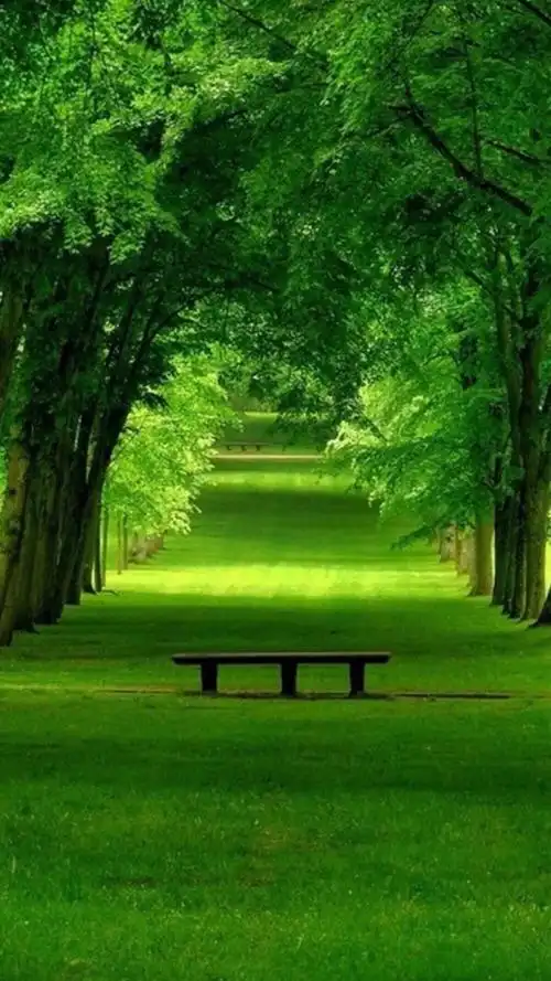 护眼- 堆糖,美图壁纸兴趣社区