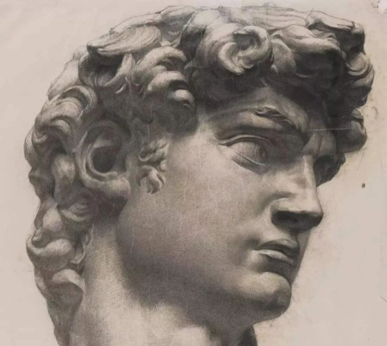 这幅喻红《大卫》的石膏素描,是视频讲解中提到的