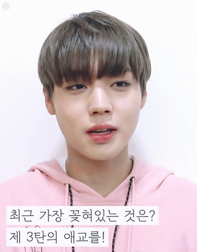 朴志训的表情包