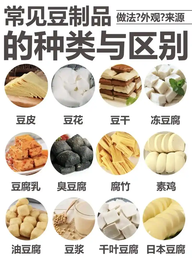 常见豆制品的种类与区别.#美食 #知识分享 #科普 #豆腐  - 抖音