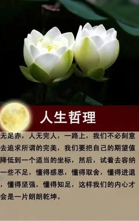 求一些人生感悟的的句子.有哲理的.