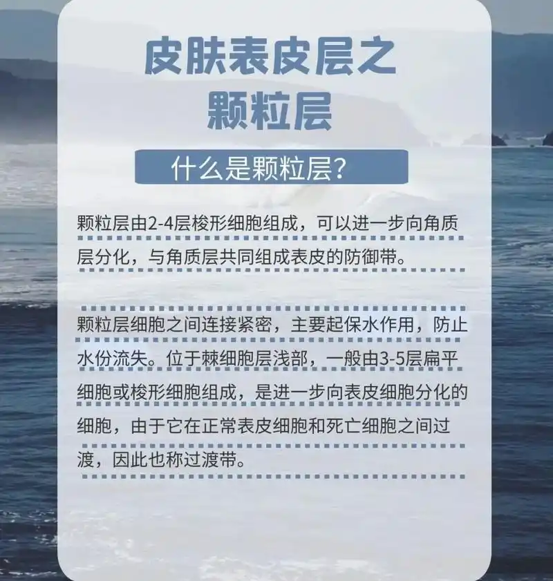 皮肤表皮关于颗粒层的那些事
