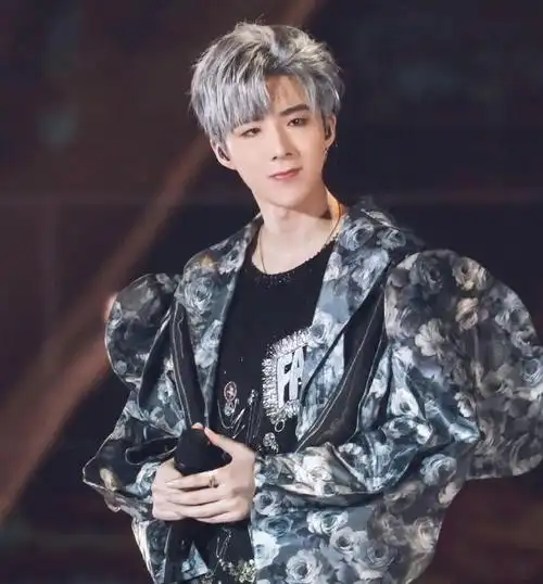 原创刘宇宁出身于网络人气,因为颜值高,所以歌唱得很好,受到大家的