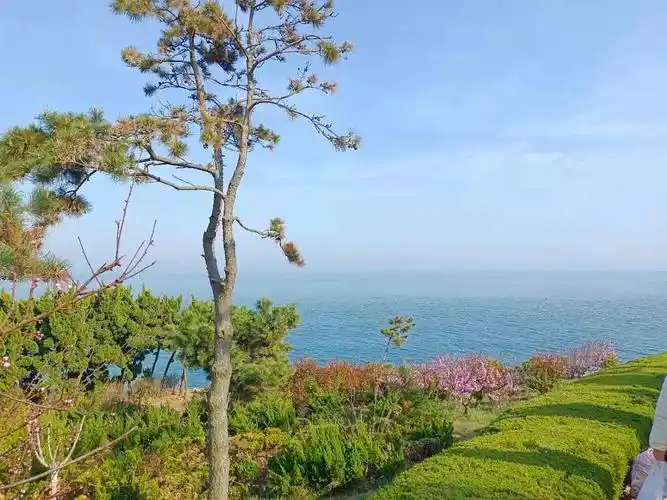 青岛燕儿岛 我同学拍的