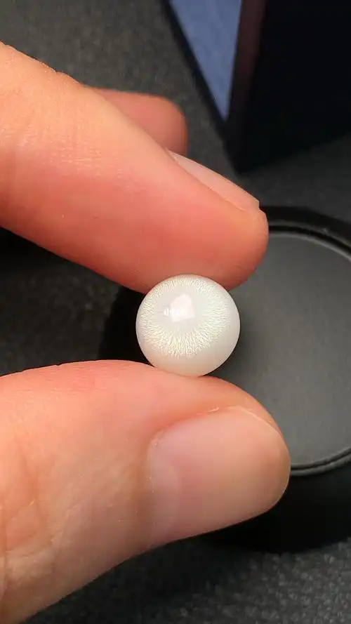 稀有天然野生珍珠白色海螺珠大蛤珠裸珠