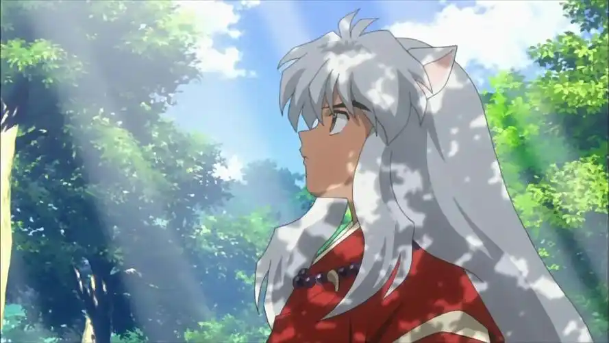 我爱的犬夜叉,永远喜欢你