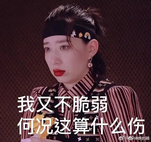 求李斯丹妮姐姐的表情包