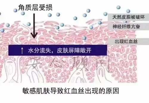 安利篇角质层受损如何修复多肽紧致修护面膜你真的不能错过