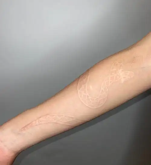 手臂双头蛇肉雕纹身9