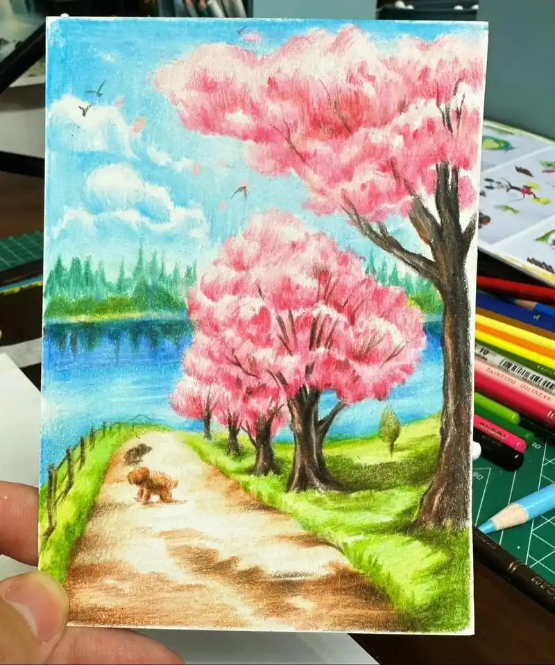 彩铅"樱花树下的约定"樱花树下印上约定#风景画 #彩铅 #彩 - 抖音