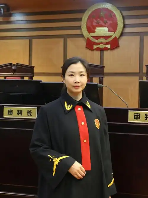 你好法官披法袍执法槌守正义朝理想前进