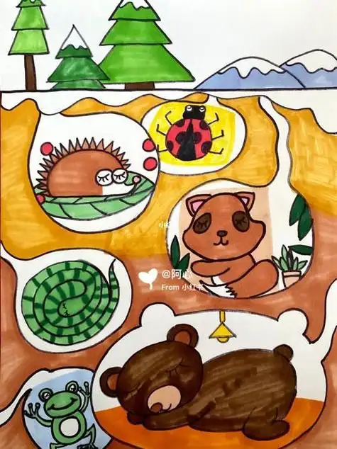 地下冬眠的动物简笔画