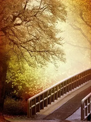 自然风景壁纸背景