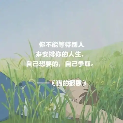 宫崎骏电影里的每一句都是治愈心灵的良药