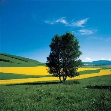 2020微信风景头像图片,风景头像图片-回车桌面