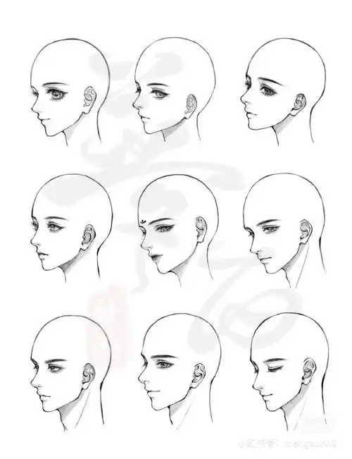 绘画参考##五官参考