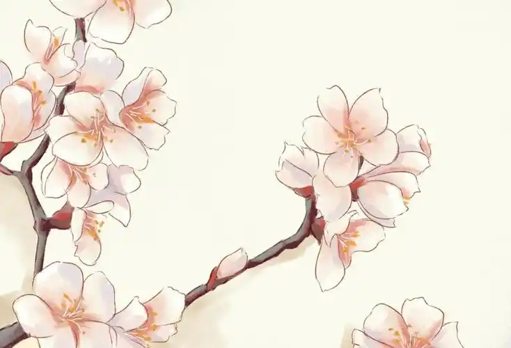 胭脂万点,杏花朵朵正烂漫