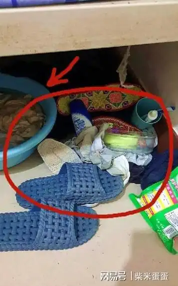 臭袜子最好不要囤积几天再洗|真菌|细菌|症状_网易订阅