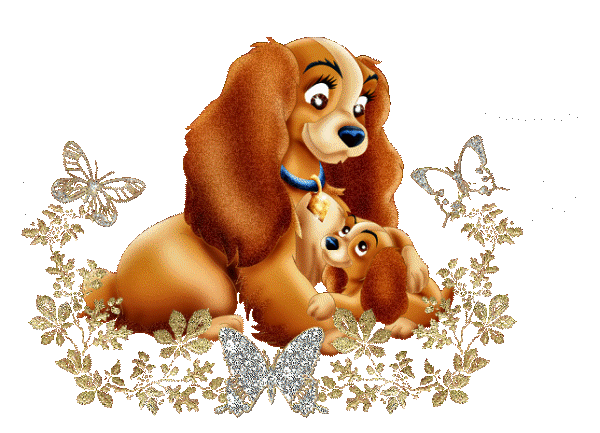 【转载】【gif-动图】—音画制作必备(动物素材-03)