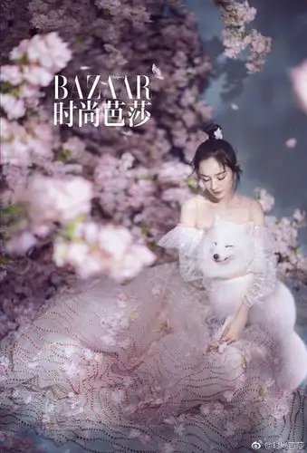 杨幂生日时尚芭莎写真全套高清图 抱白狐置身花海仙气