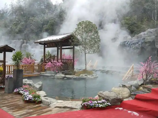 铜鼓县汤里文化旅游度假区推出双十一旅游优惠活动