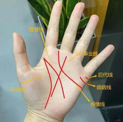 马云手相三角纹放大照马云手相图解分析