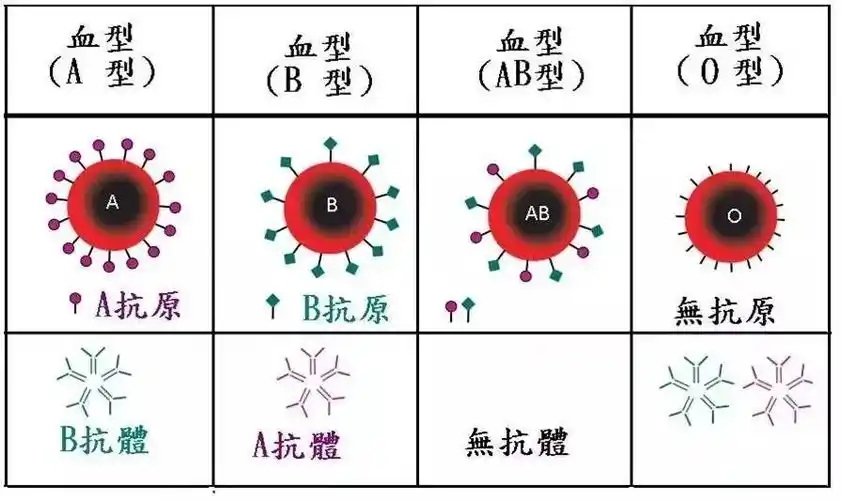 到底什么血型最招蚊子你们要不要先统一下口径