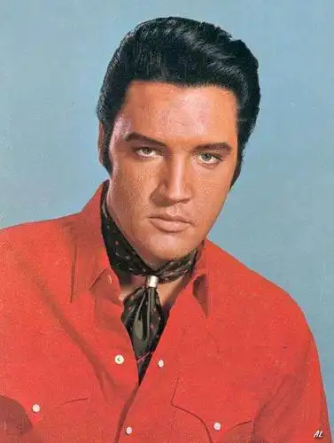 猫王逝世30周年 复古风当今最热