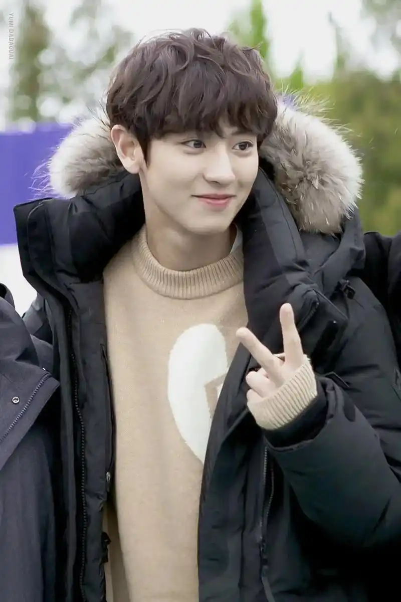 朴灿烈 #exo #爱丽 灿烈的神仙发色合辑 - 抖音