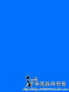 证件照蓝色背景布图片