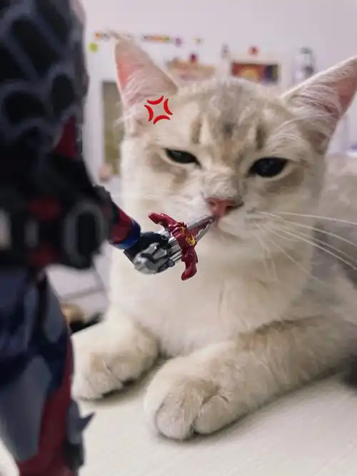 020202进来一决高下