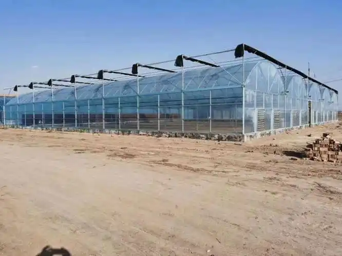 四川连体温室大棚搭建甘孜连栋温室大棚价格宜宾连体温室大棚