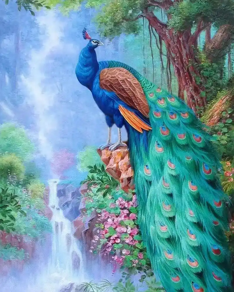 油画《孔雀吉祥》作画步骤:孔雀的寓意及象征 孔雀的寓意和象征 - 抖