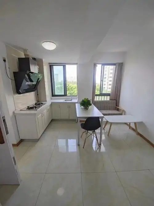 二号线虾龙圩地铁口一室一厅一厨一卫