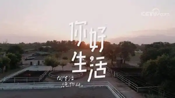 cctv3你好生活第三季指定座驾