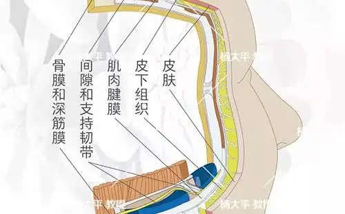 杨大平关于面部年轻化那些你不知道的事