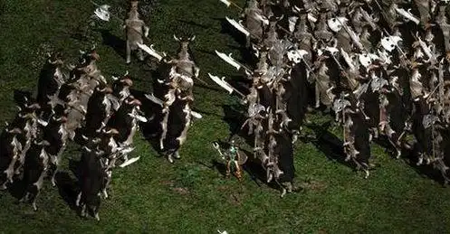 暗黑破坏神2奶牛关