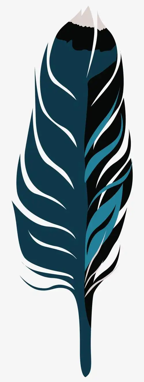 彩色手绘装饰羽毛