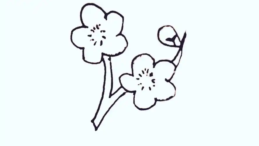 一枝梅花简笔画 一枝梅花简笔画儿童画