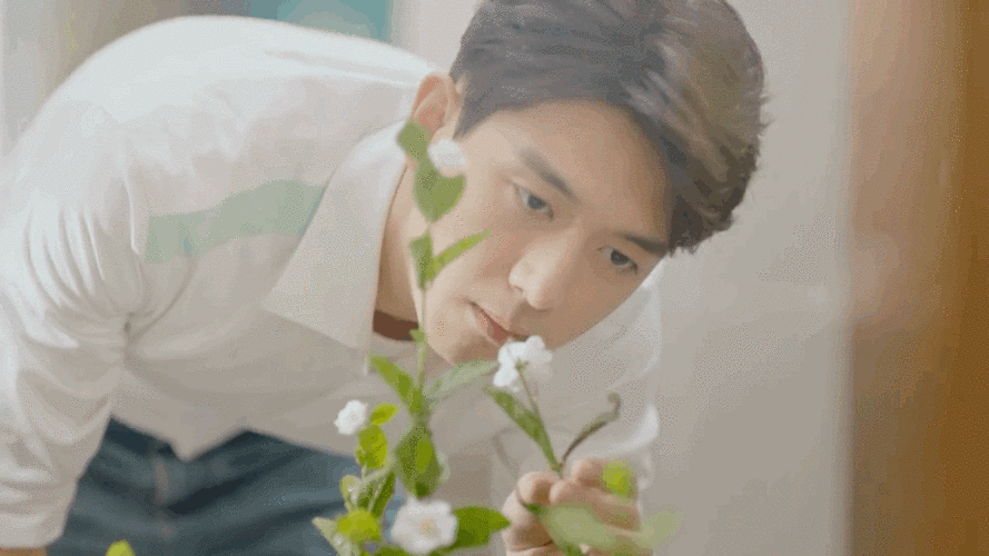 李现 瞬间茉茗心动