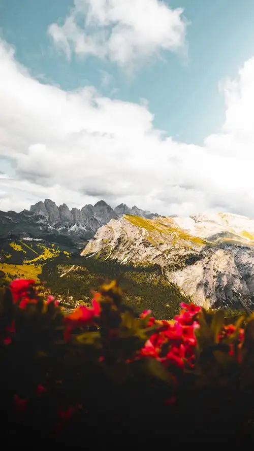 清新唯美自然风景手机壁纸