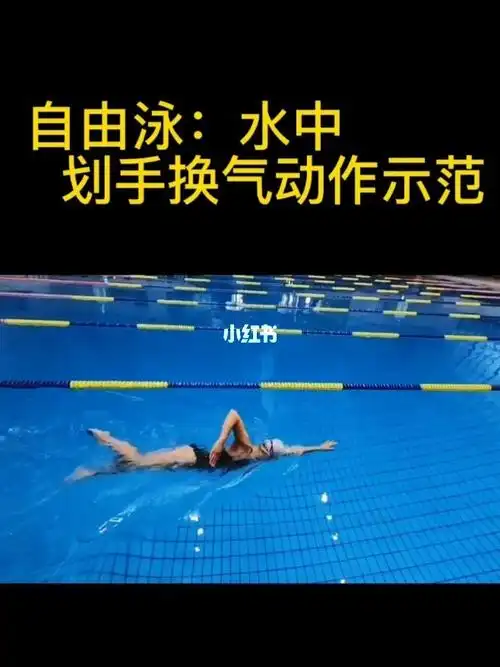游泳自由泳换气动作水中示范