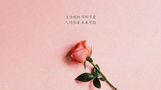 生活明朗,万物可爱