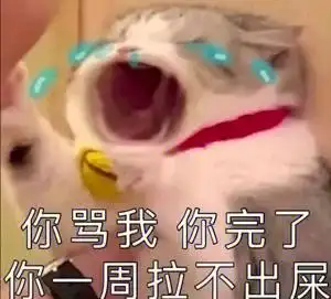 你骂我你完了你一周拉不出屎