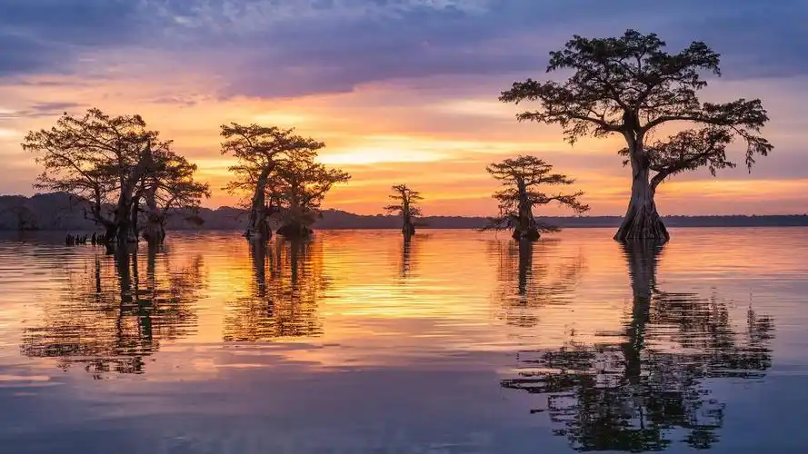 清晨日出超美风光写真,风景-回车桌面