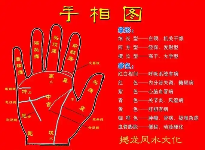 手相掌纹告诉您寿命有多长