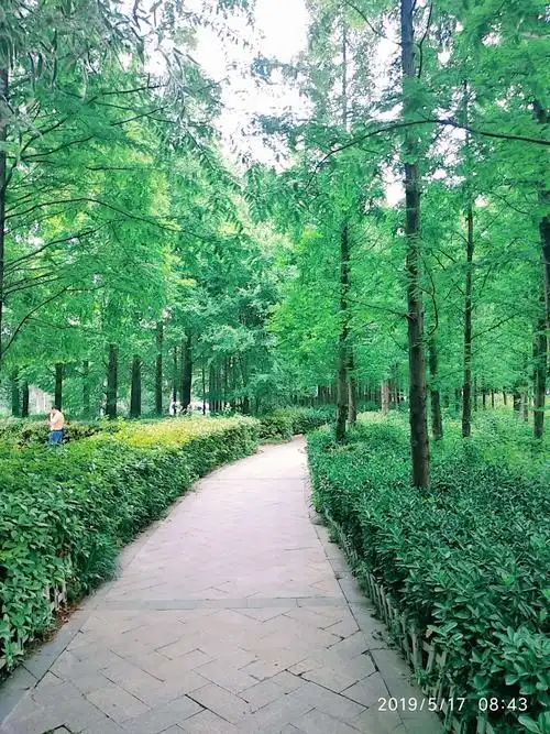 钓鱼岛实拍一云龙湖风景区岛屿系列之三